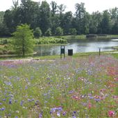 Allen Pond Park