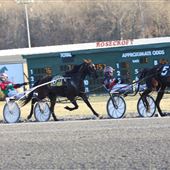 Rosecroft Raceway