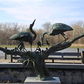 Schoolhouse Pond